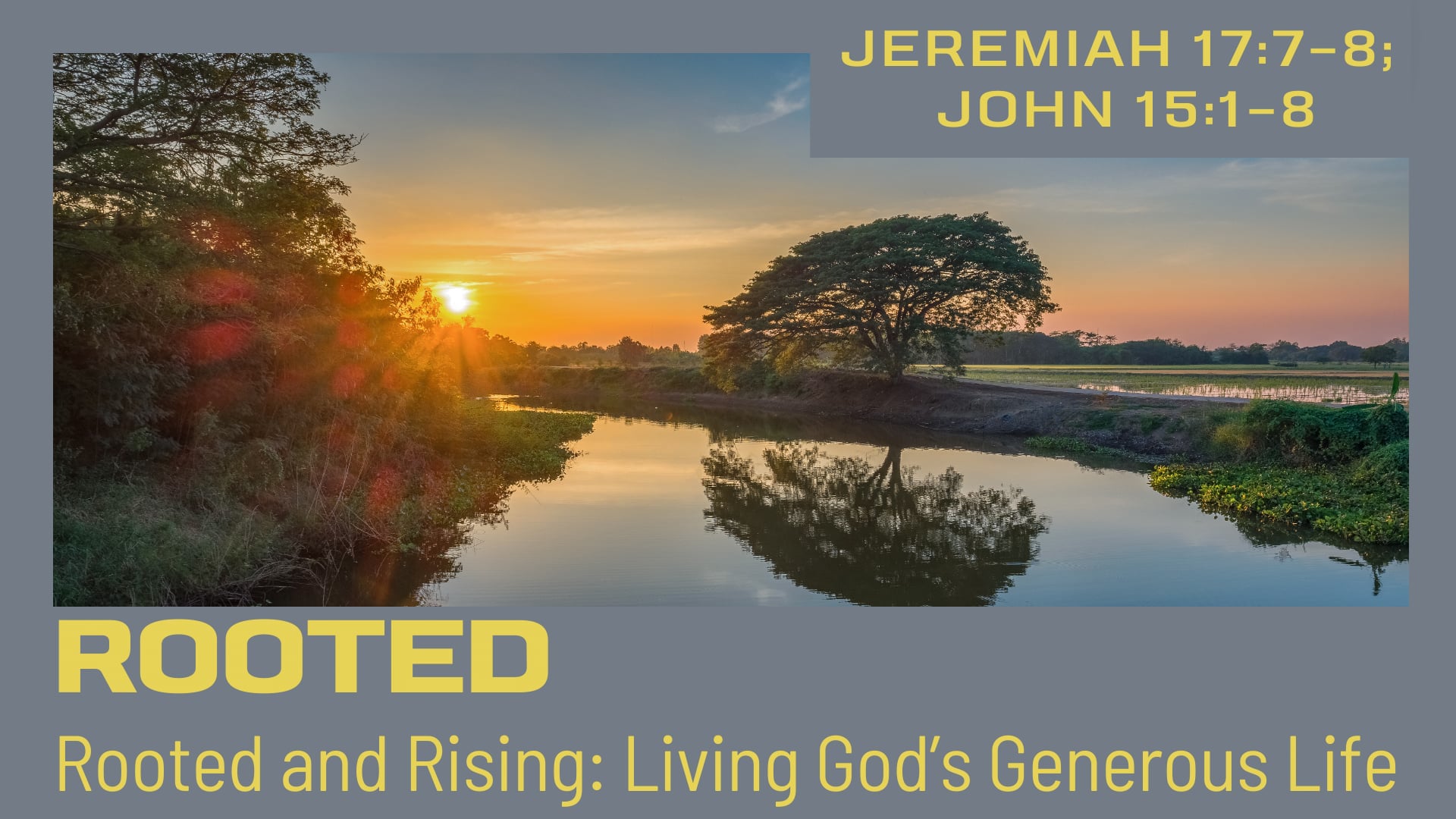 Sunday October 19 "Rooted"