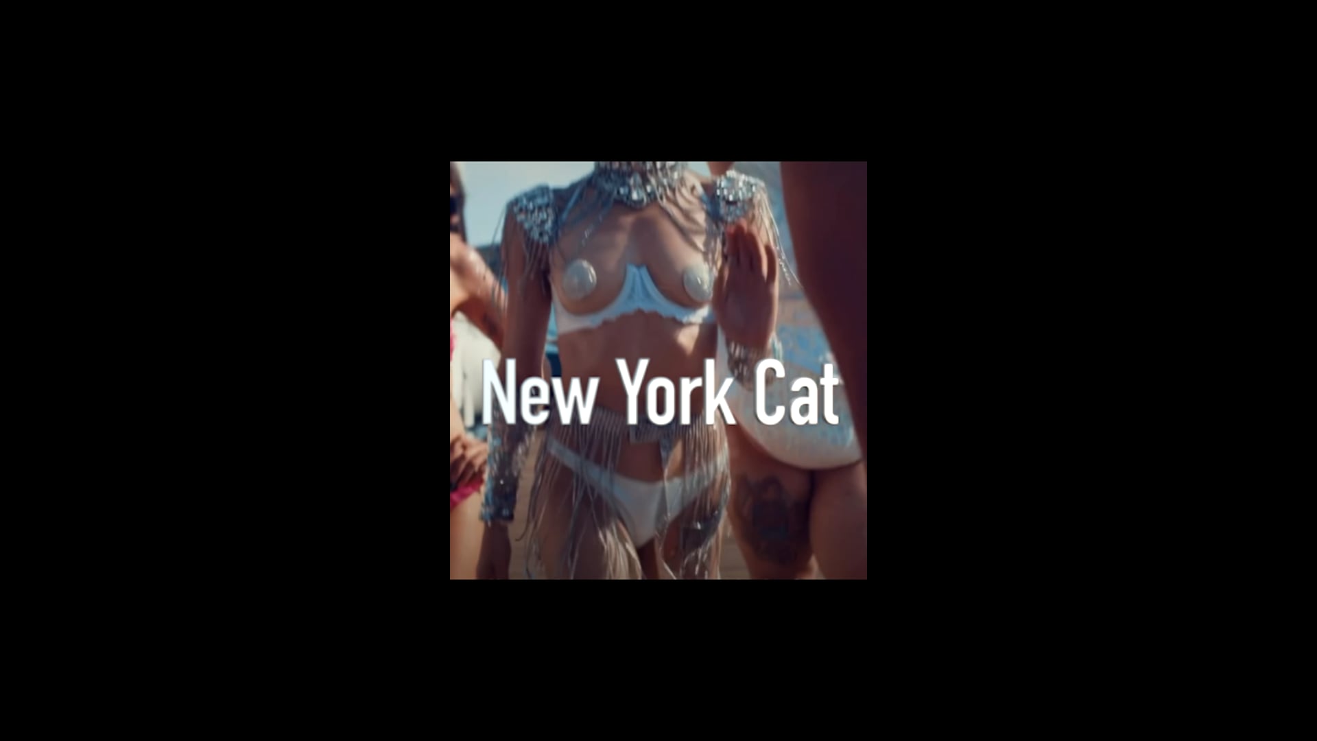 Promotional video thumbnail 1 for New York Cat Entertainment LLC