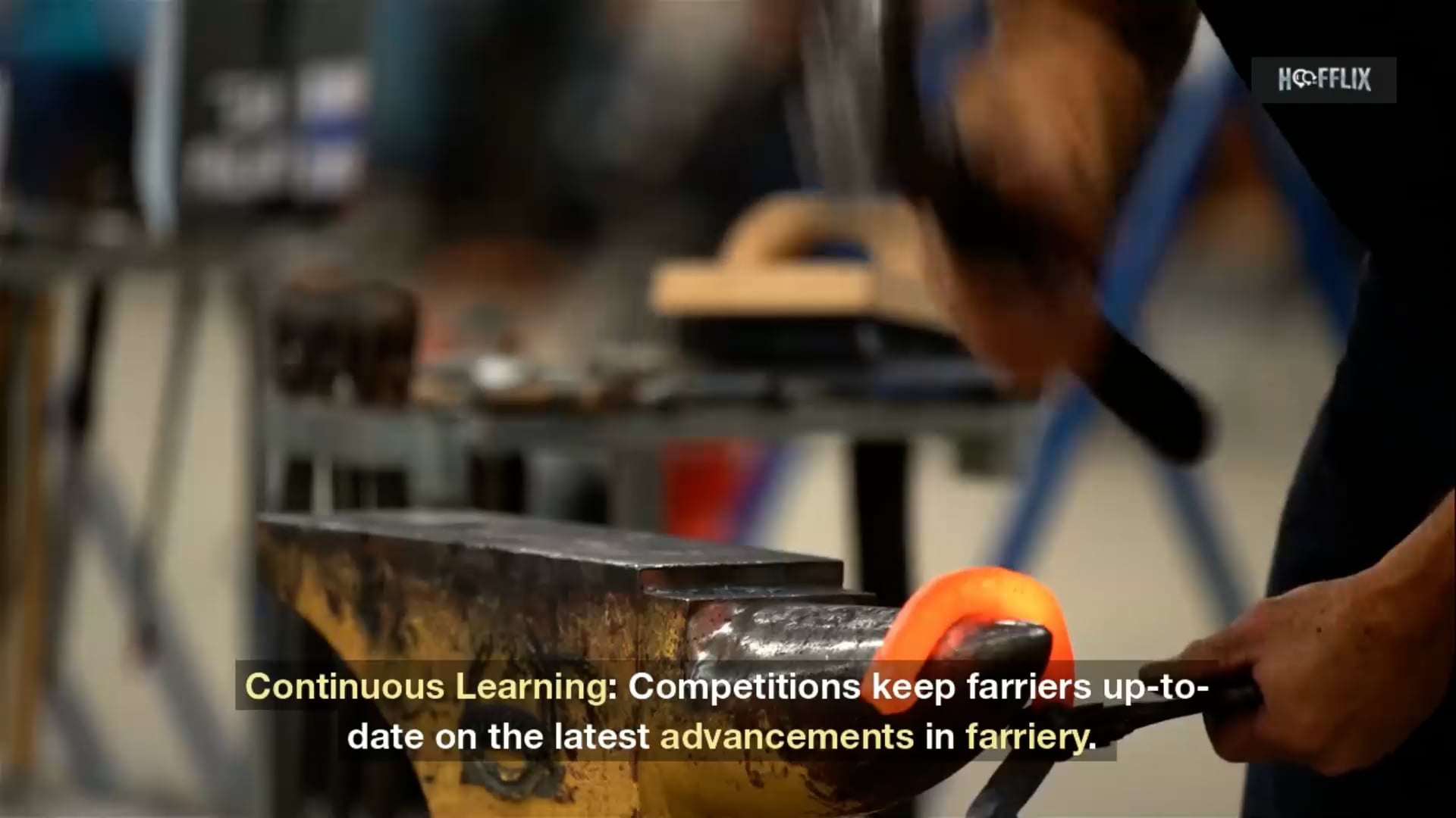 Teaser – Why Competition is good for standards – Hoofflix