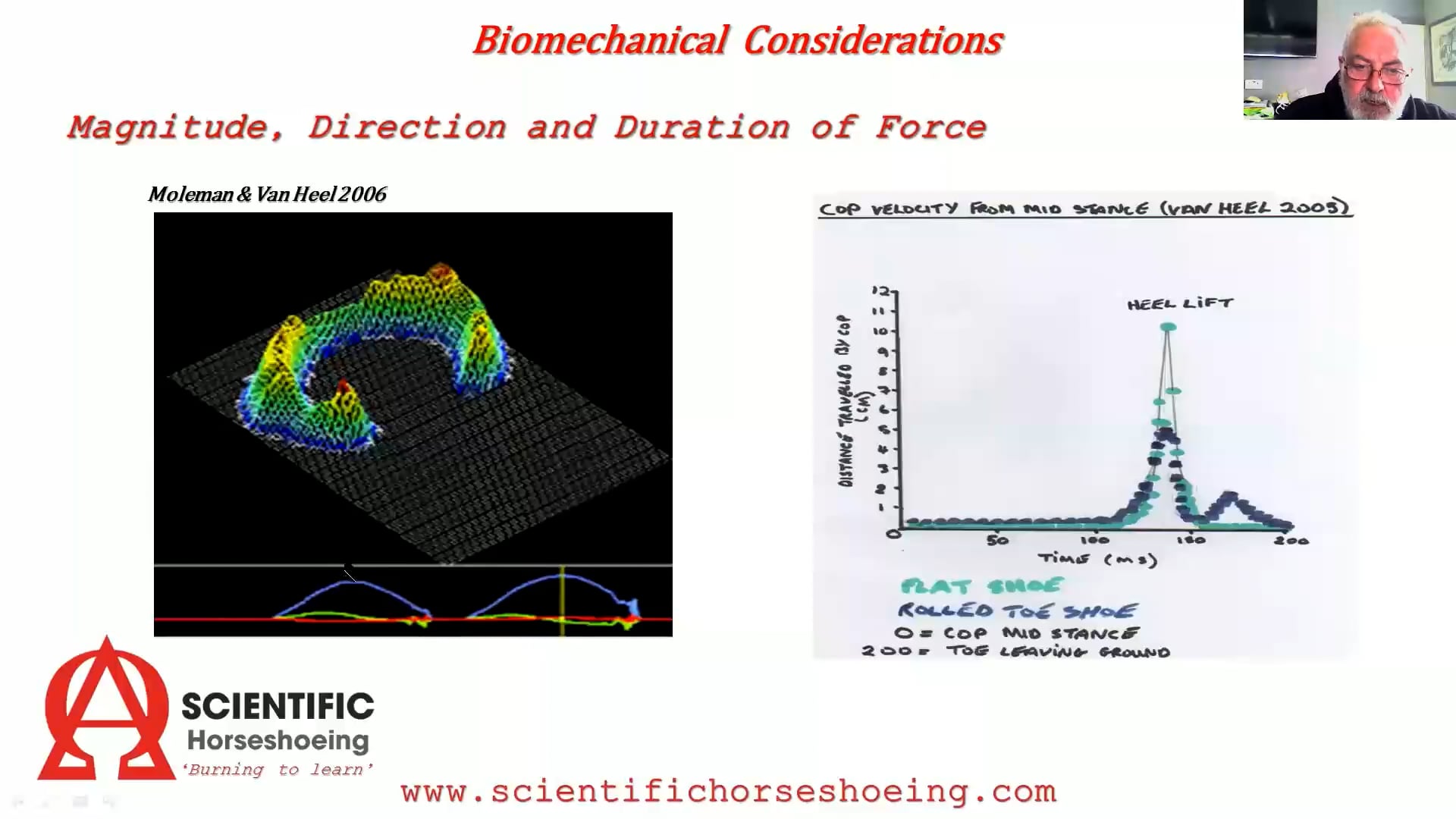 Teaser – The search for the perfect foot – Hoofflix