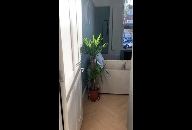 Video 1: