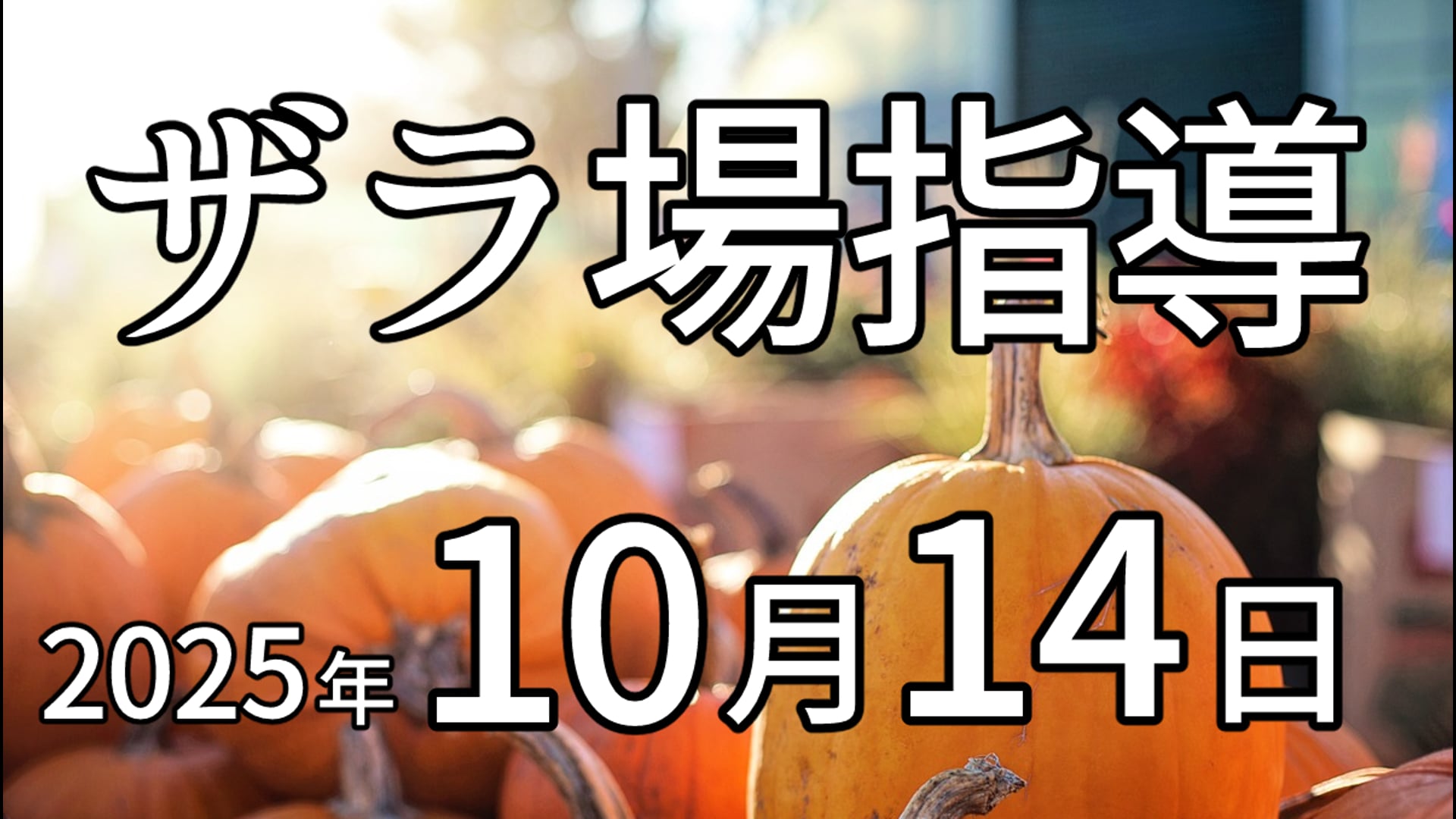 動画サムネイル