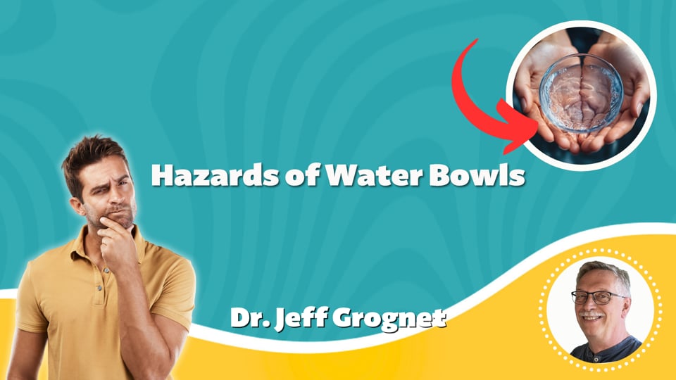 Hazards of Water Bowls