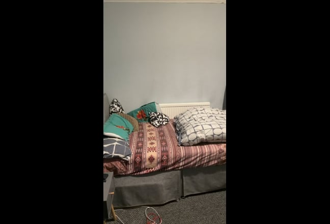 Spacious Room Available Main Photo