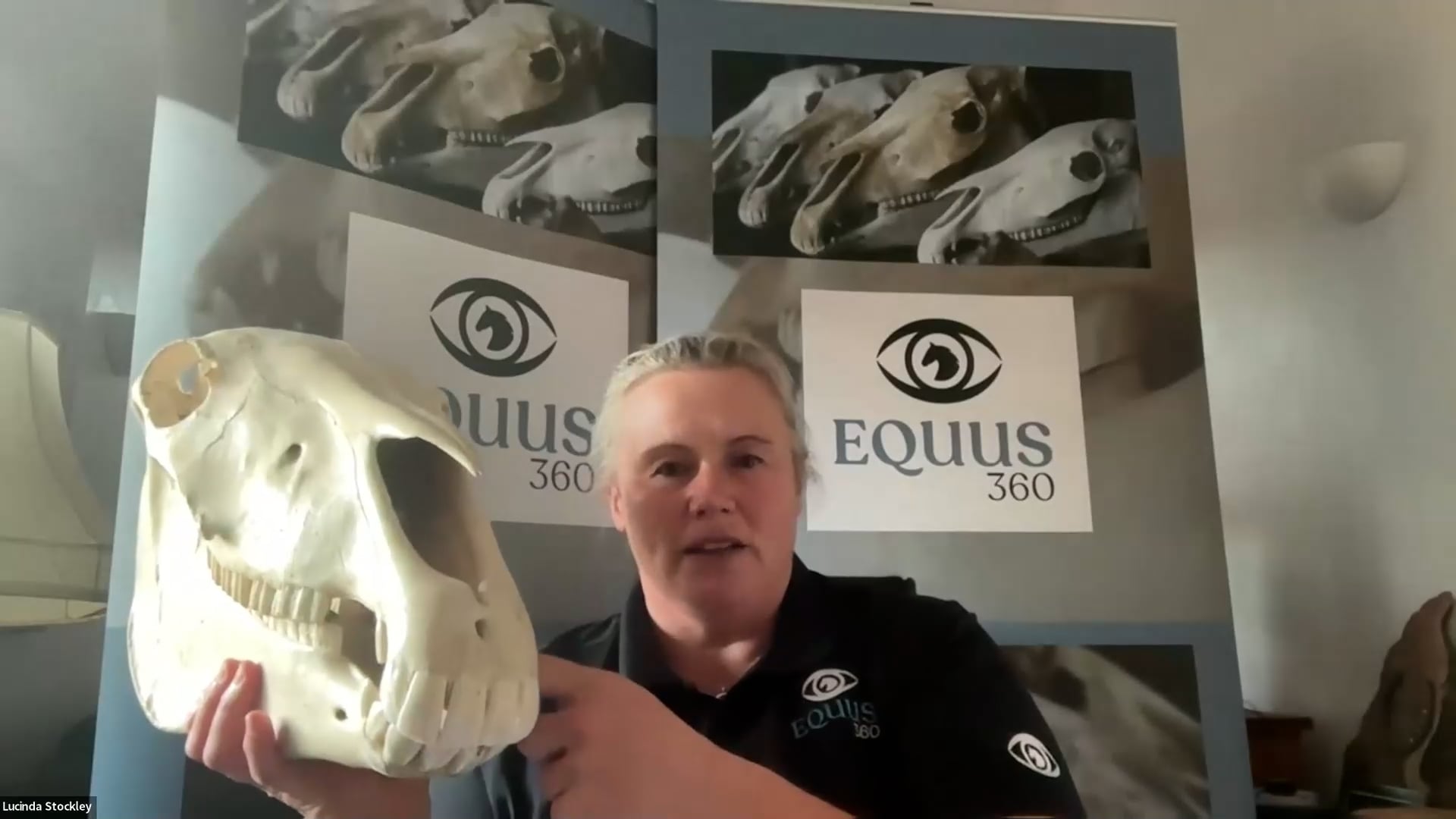 Teaser – What on earth have teeth got to do with feet – Dental Health & Hoof Morphology – Hoofflix