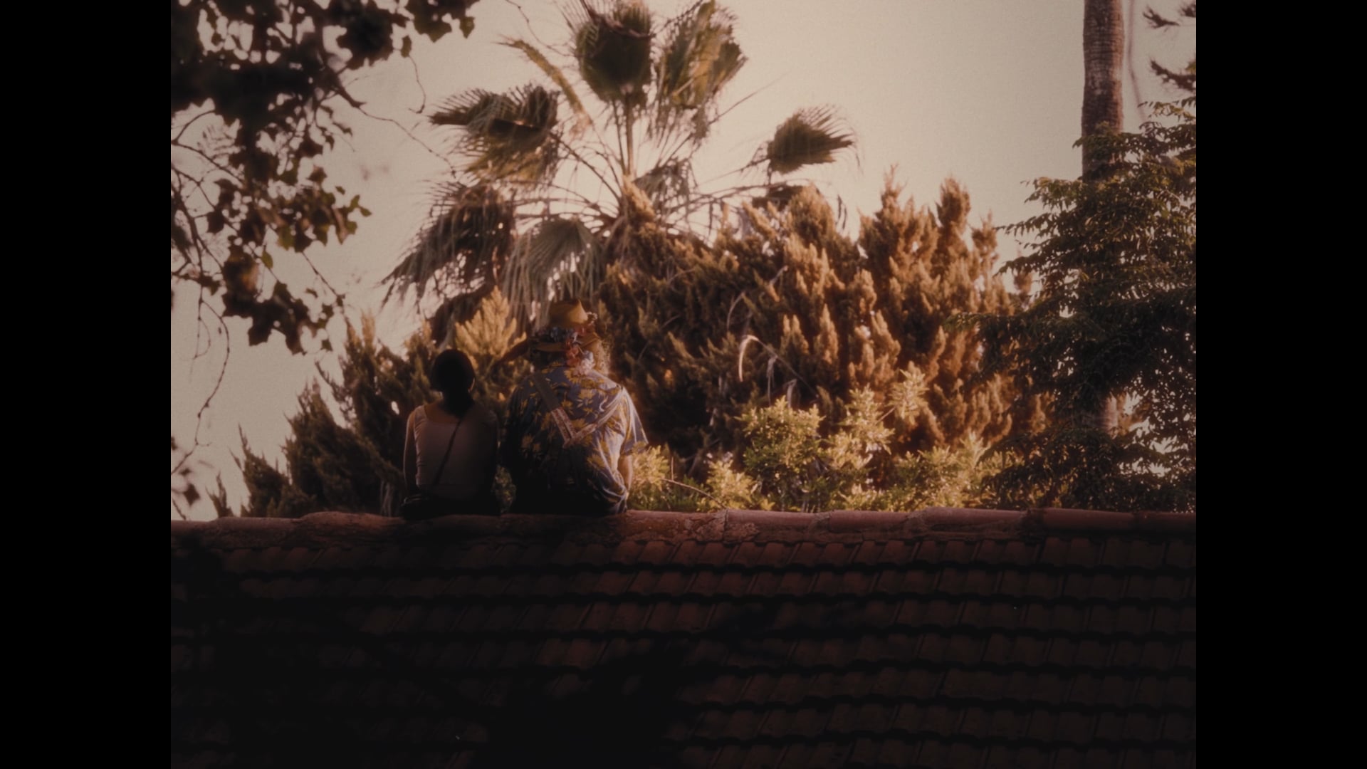 Paul And The Dancing Houses - Adam Ellert Short Film