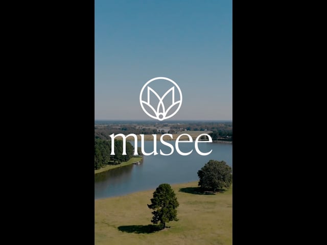 Placeholder image for video: 