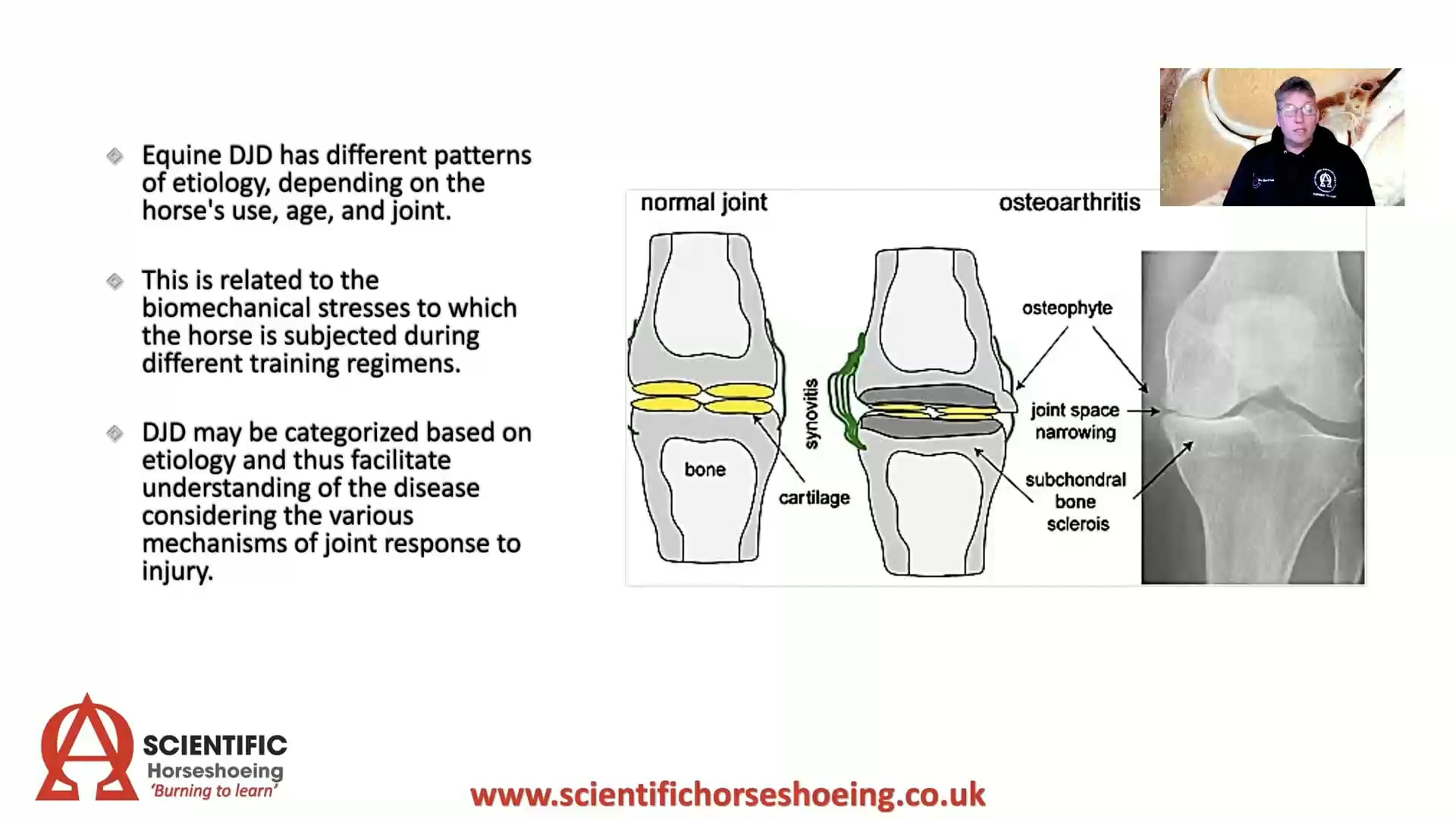 Teaser – Degenerative Joint Disease – Part 1 of 2 – Neil Madden FWCF – Hoofflix