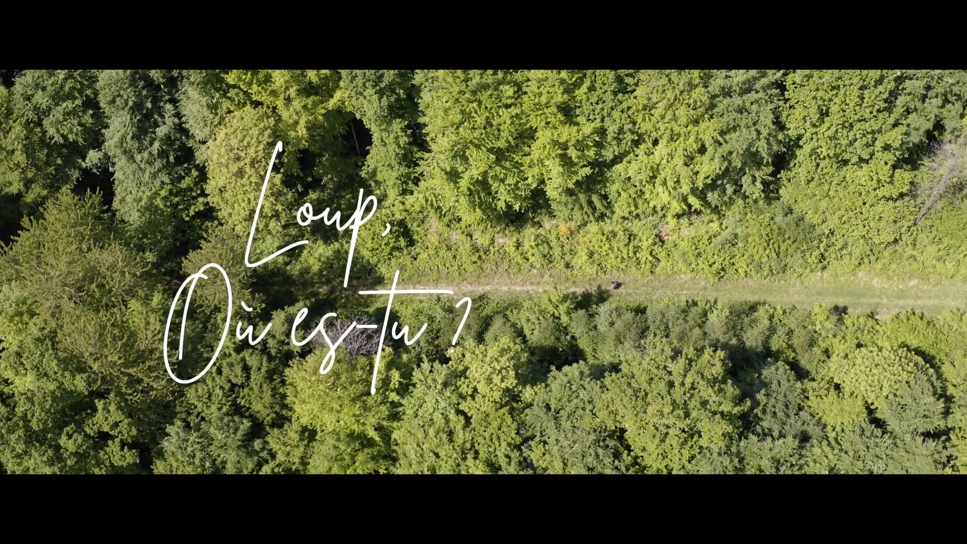 Loup, où es-tu ? (Teaser)