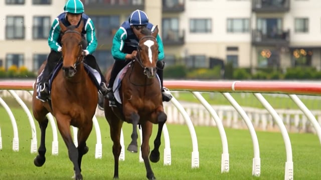 Countdown to 2025 NZB Ready to Run Breeze Ups |