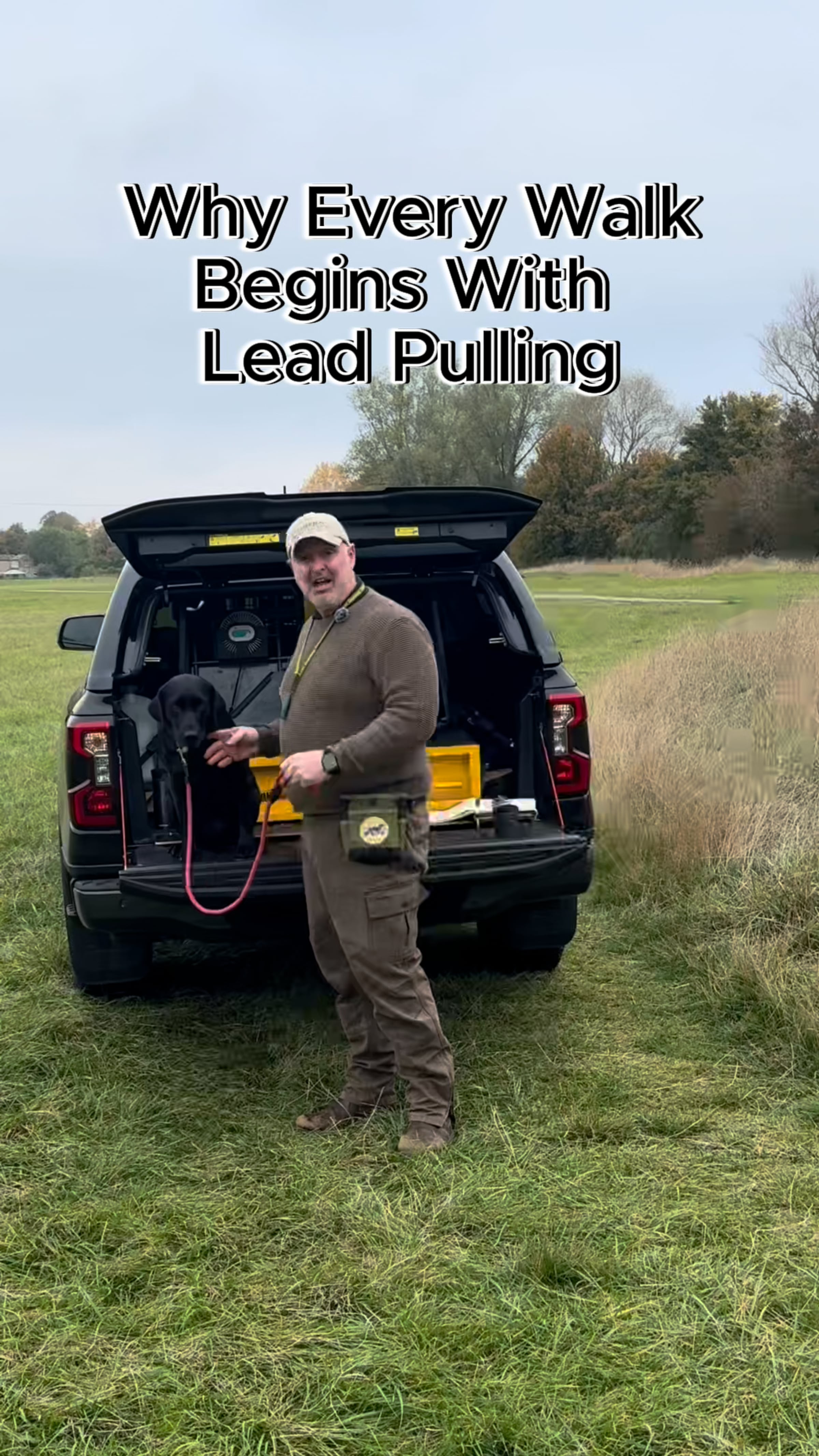 Do your walks normally start with a lot of lead pulling?