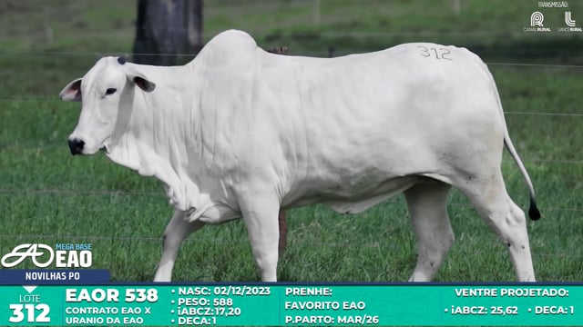 Lote 312