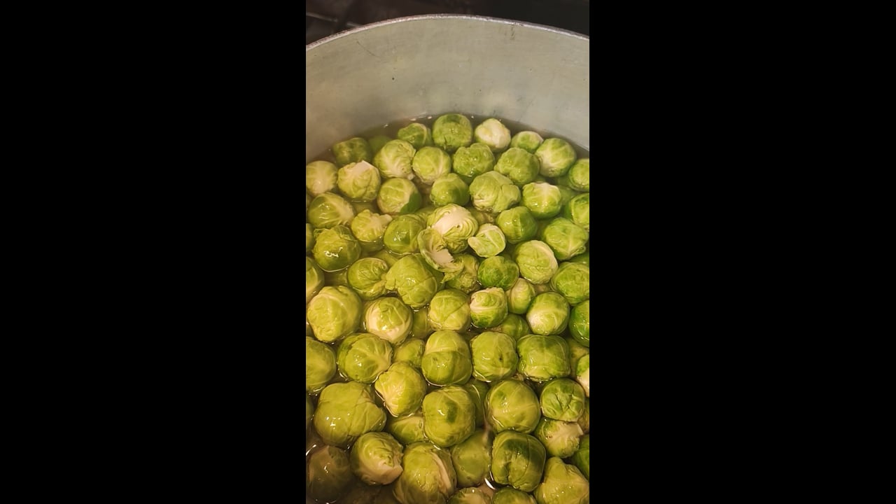 Christmas dinners starting today