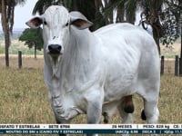 Lote 05