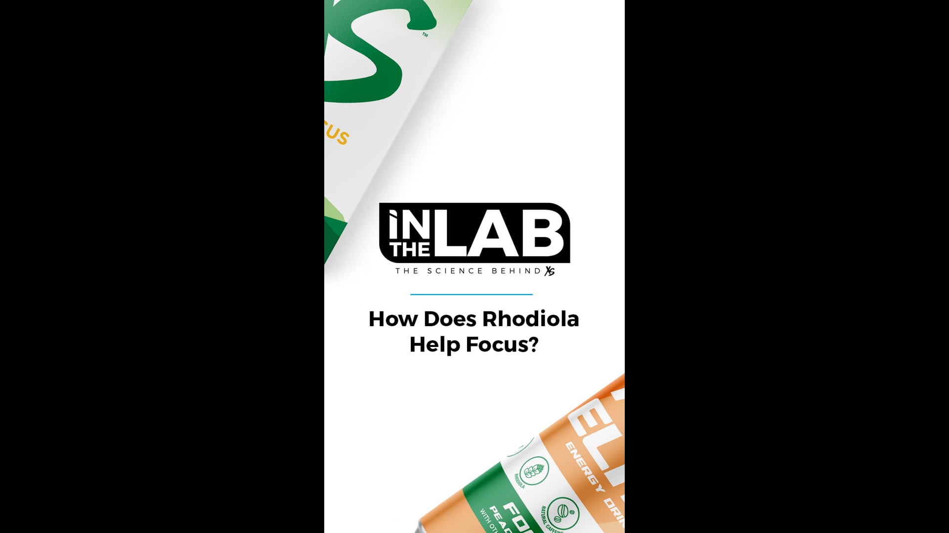 How Does Rhodiola Help Focus?