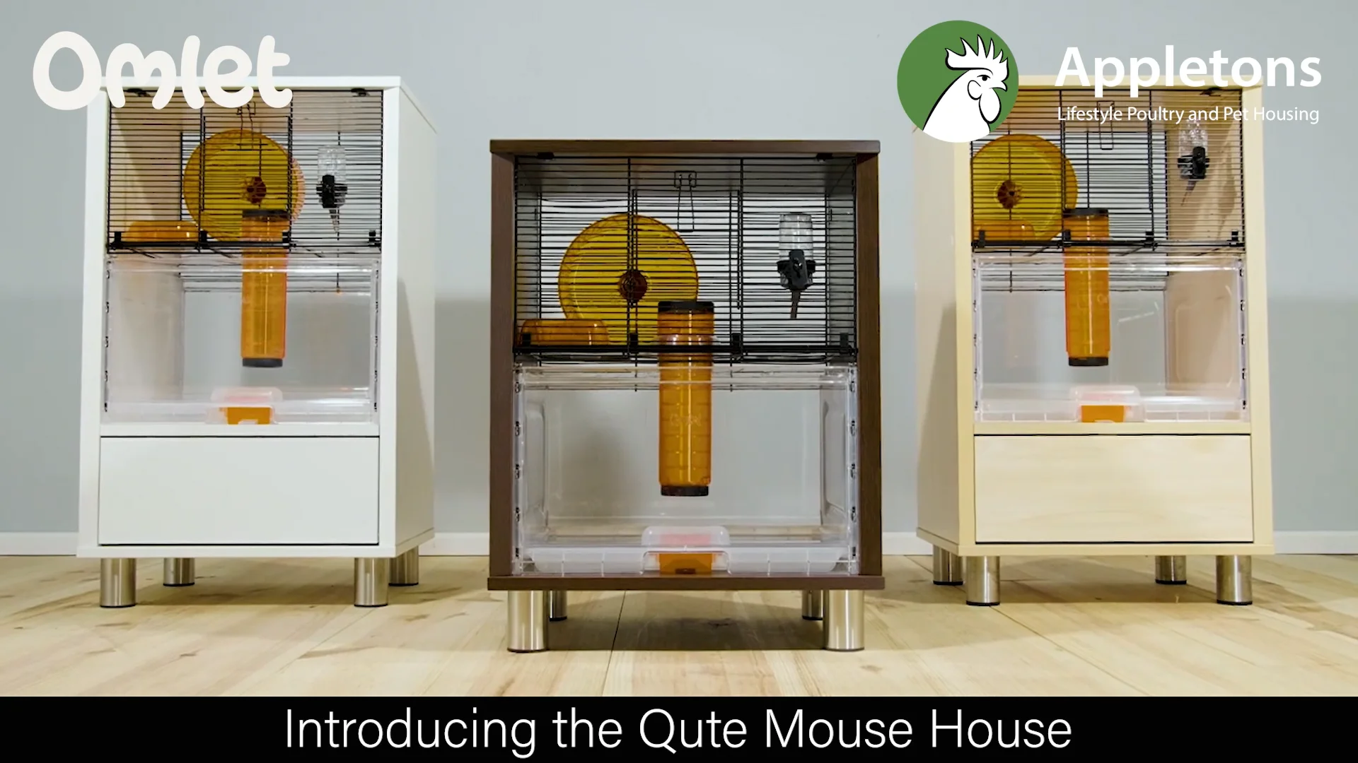 Qute Mouse House