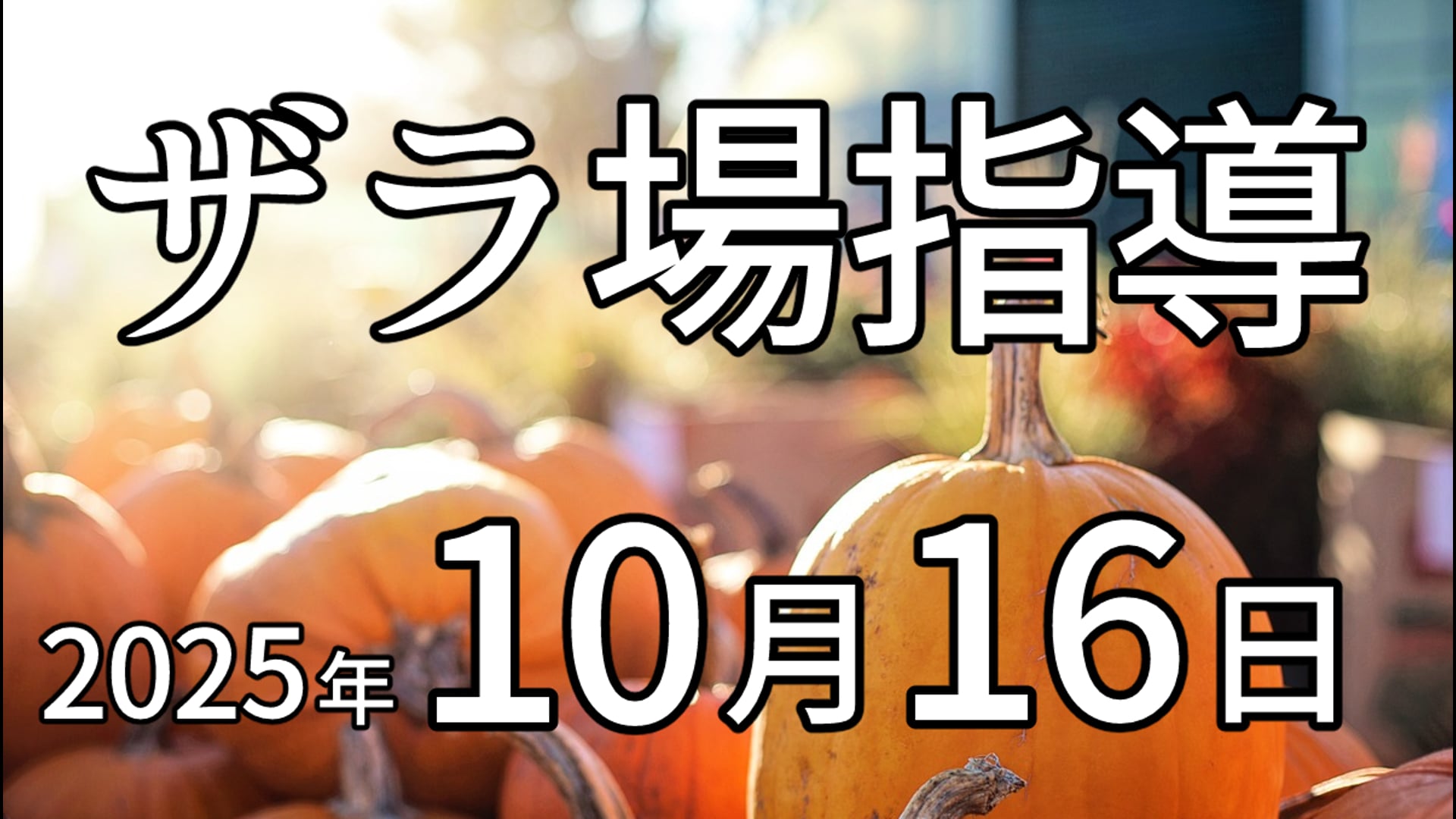 動画サムネイル