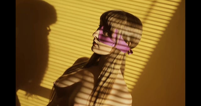 CECIL & the fortress of the kestrel wizard