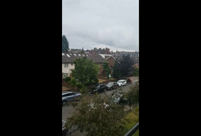 Video 1: