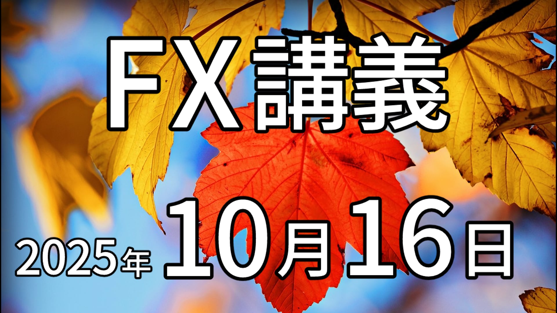 動画サムネイル