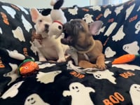 Watch me play!