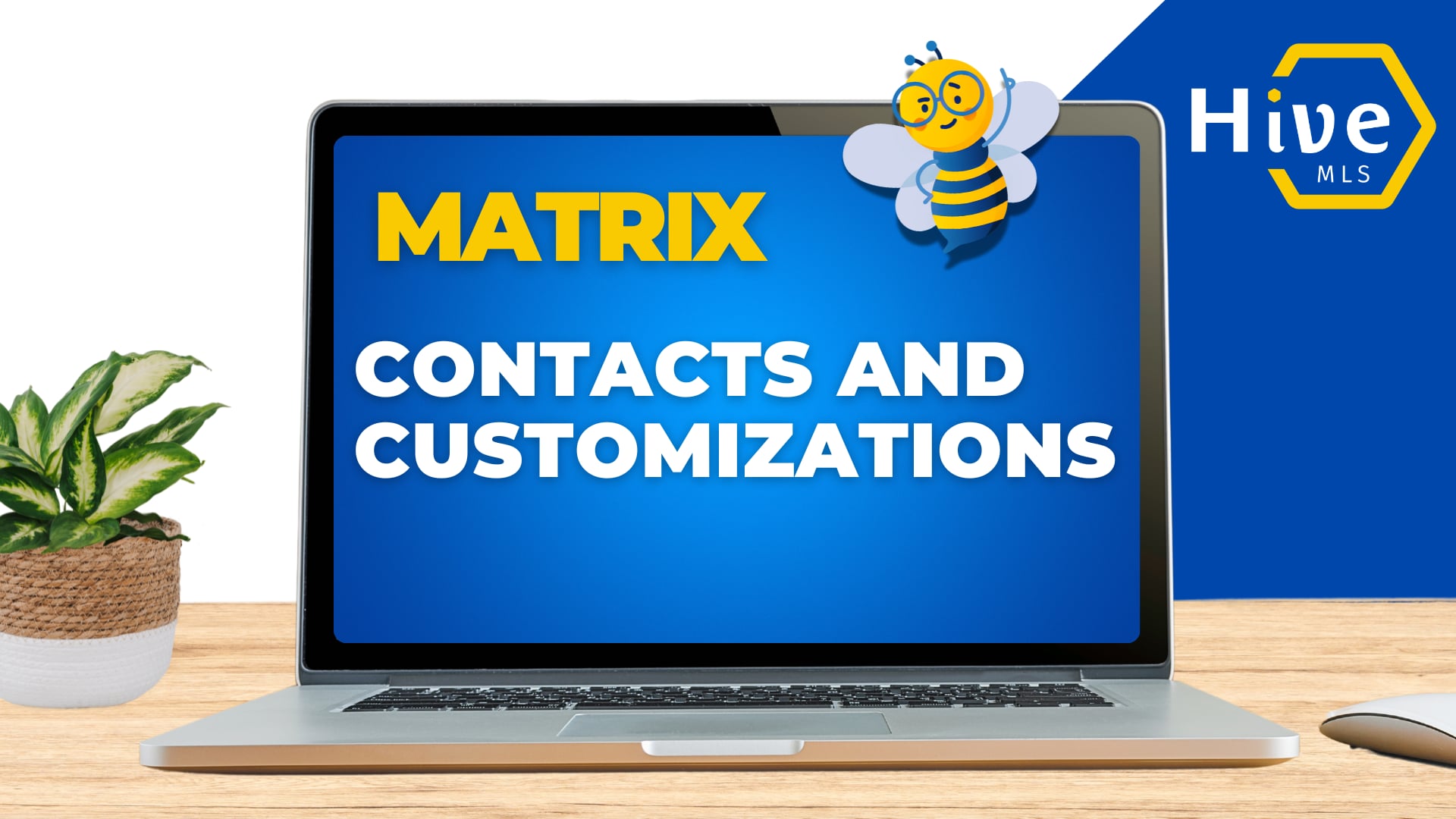 HIVE MLS MATRIX Contacts and Customizations (Savannah)
