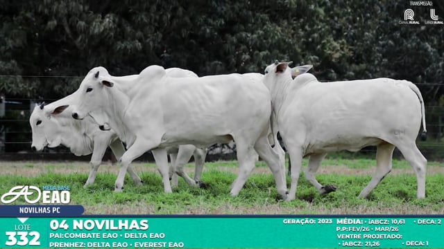 Lote 332