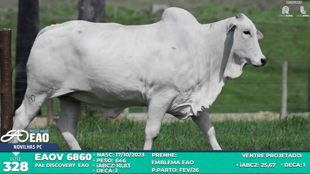 Lote 328