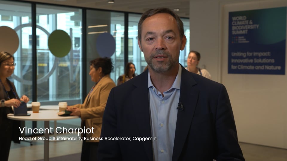 All In on Climate: Why Business Leaders Aren’t Slowing Down