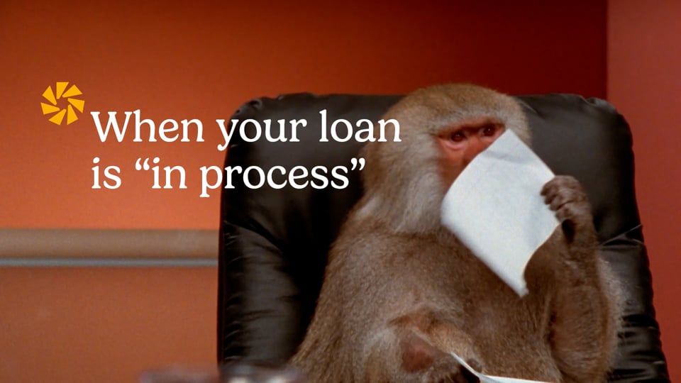 People's Credit Union | Baboon