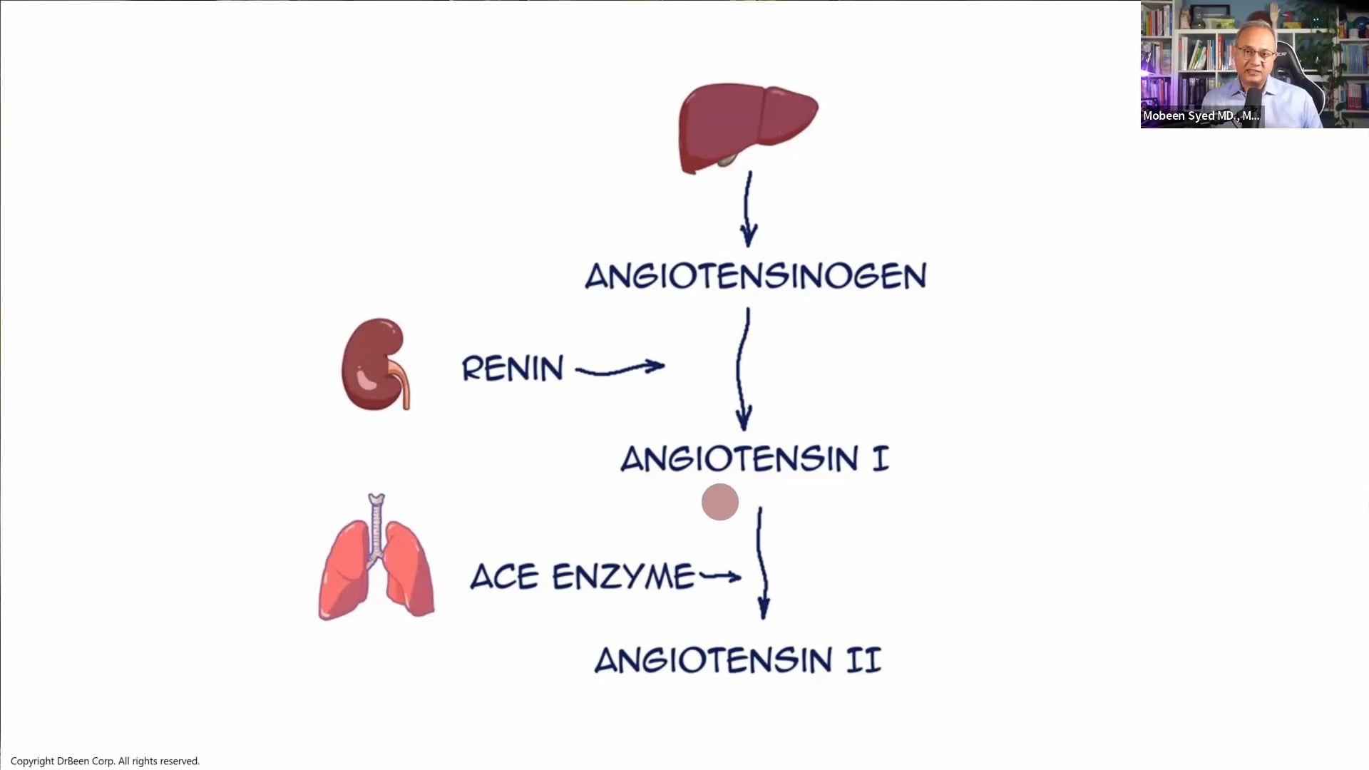 ACE Inhibitor Drugs (PM 19)