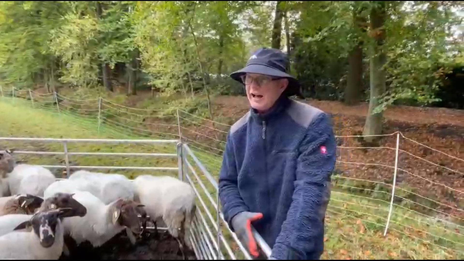 Schaapherder Nico Buitenkamp 2025