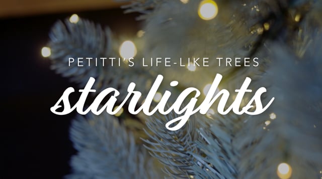 Starlights Christmas Trees