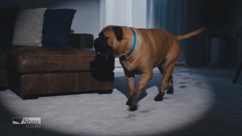 vimeo-video-thumbnail