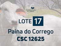 Lote 17