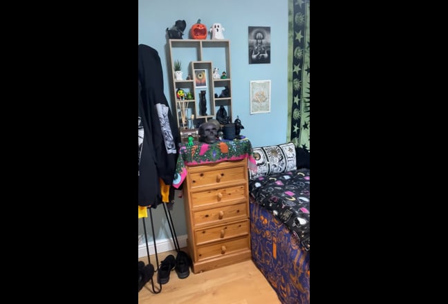 Cozy Flat — Great Location  Main Photo