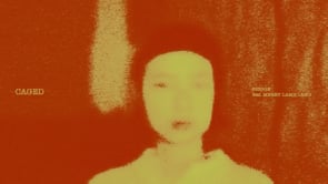 Shigge feat. Merry Lamb Lamb  - Caged