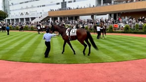 動画サムネイル