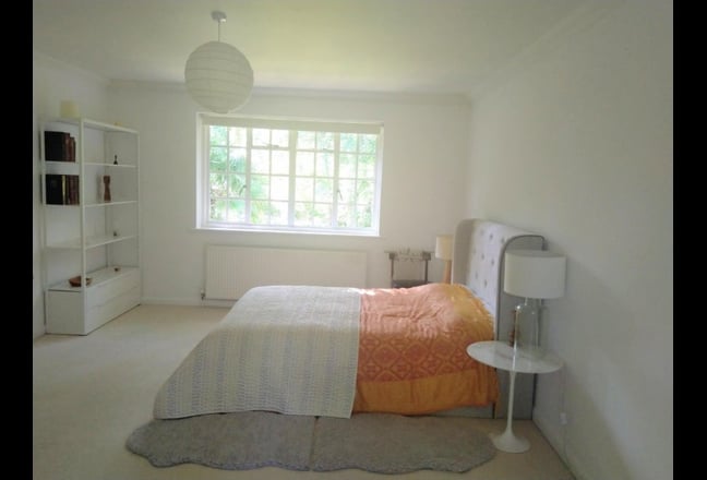  Bright and Beautiful Triple Size Ensuite Room.  Main Photo