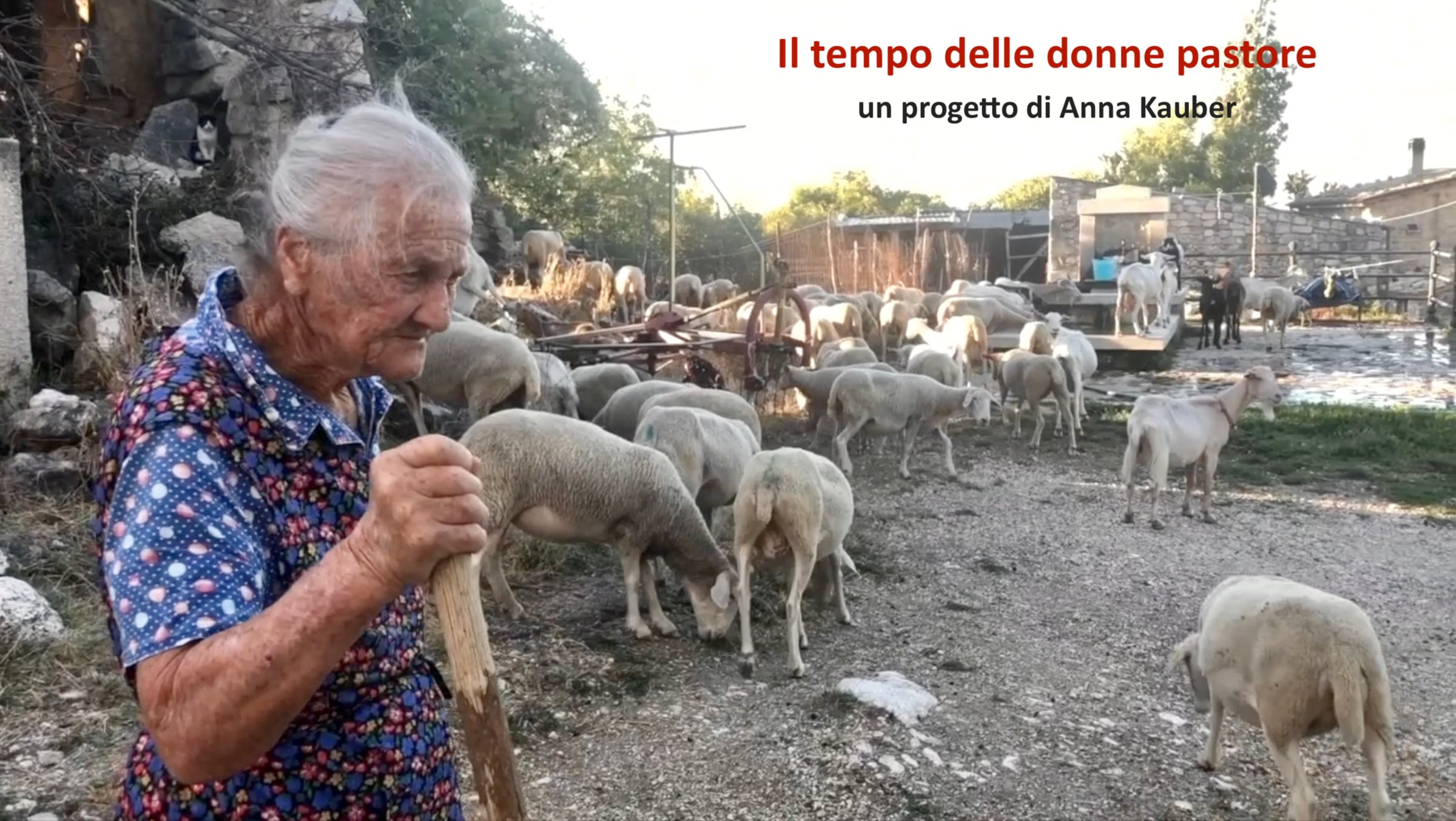 Il tempo delle donne pastore | Videos & Movies on Vimeo