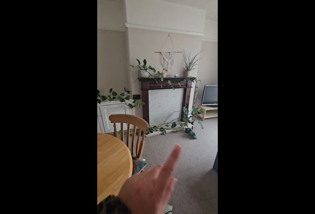 Looking for professional female housemate Main Photo