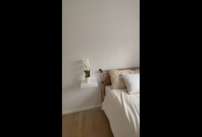 Cozy Newly Renovated Apartment Main Photo