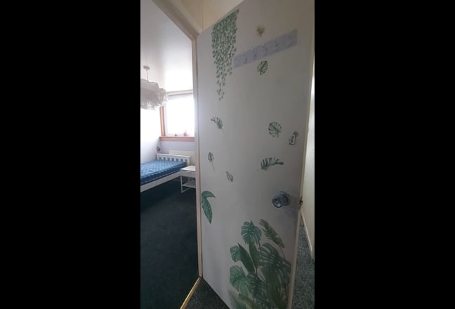Private rooms for a single  LADY Main Photo