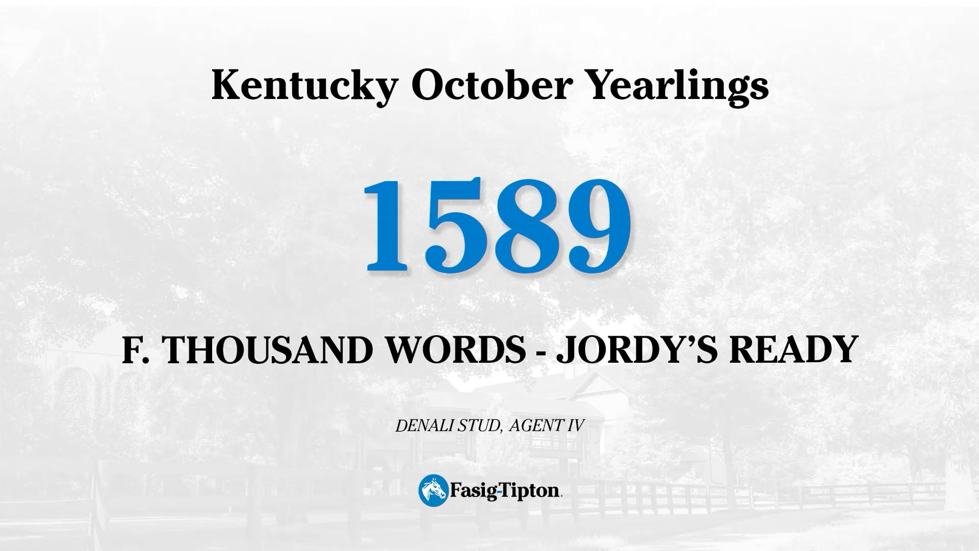 1589 | Videos & Movies on Vimeo