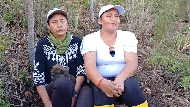 Les herboristes du ravin - Vidéo ePOP