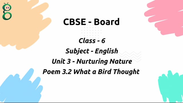 What A Bird Thought – Class 6 English
