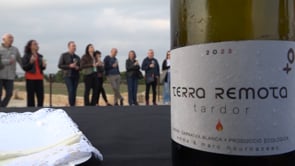 El vi i la història s'uneixen de nou a Empúries