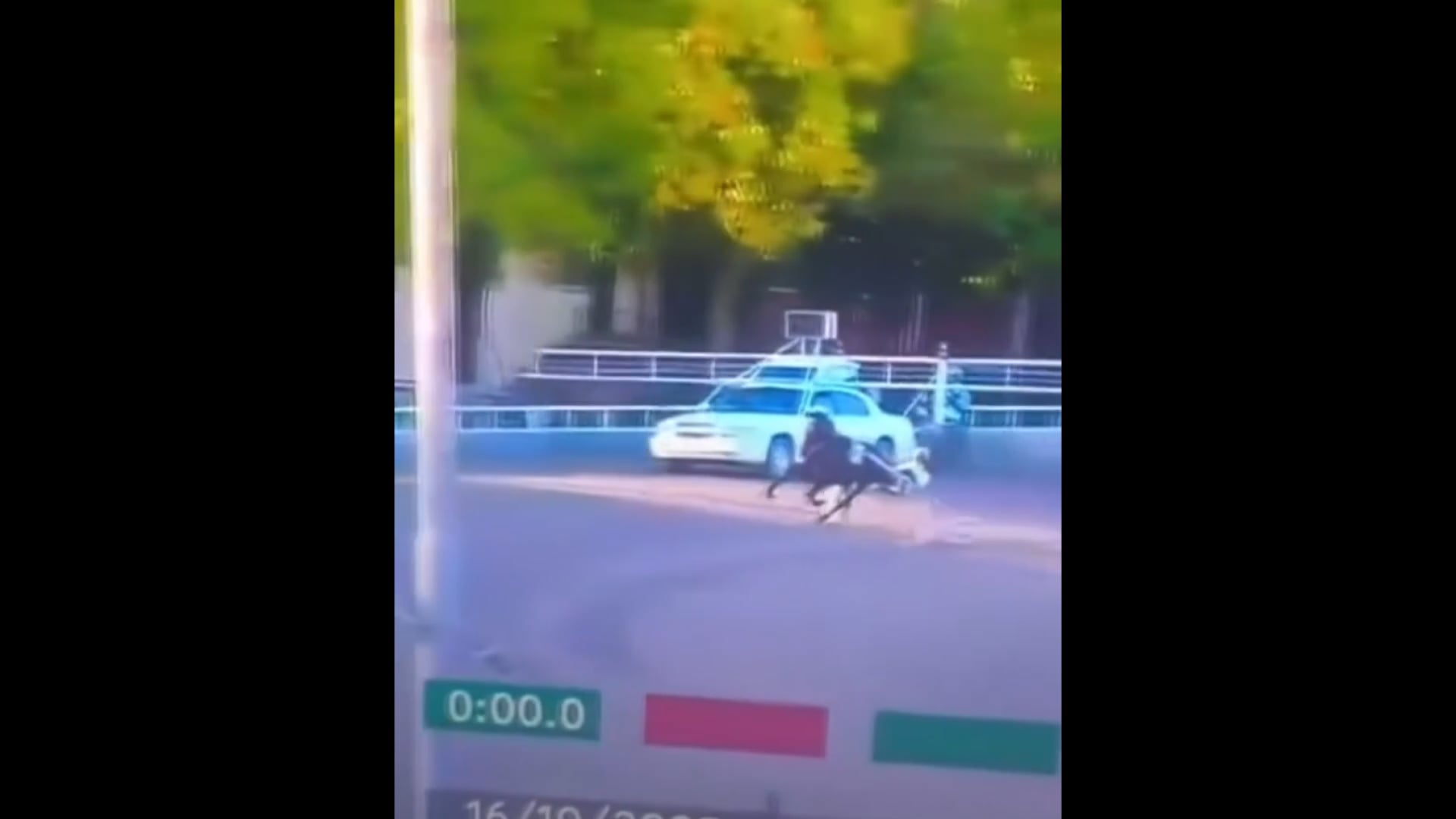 Ancora grave lo spettatore rimasto ferito giovedì scorso all’Ippodromo