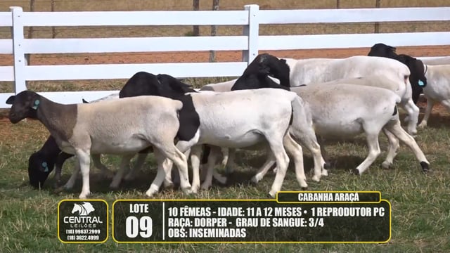 Lote 09