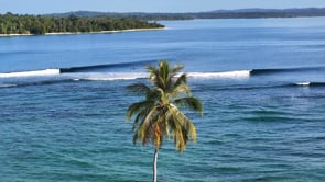 MV Indies Trader III Trip 490